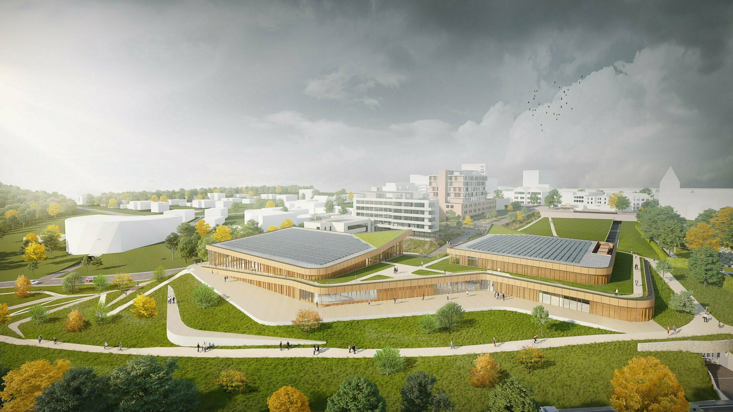 Vie, hèt kennis- en expertisecentrum op het gebied van gezondheid en vitaliteit voor de regio