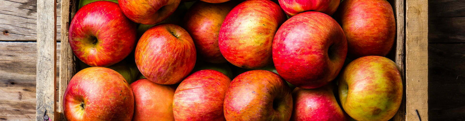 Gezonde Basisschool van de Toekomst (GBT)